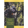 Hniezdo v kor0ne (Mária Regina Adamčíková) Hniezdo v kor0ne (Mária Regina Adamčíková)