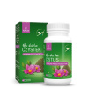 POKUSA RawDietLine Cistus - doplňky stravy pro psy a kočky - 120 ks POKUSA RawDietLine Cistus - doplňky stravy pro psy a kočky - 120 ks