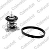 Termostat chladenia CALORSTAT by Vernet TH9241.88J Termostat chladenia CALORSTAT by Vernet TH9241.88J