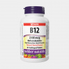 Webber Naturals Vitamín B12 2500mcg Metylkobalamin Webber Naturals Vitamín B12 2500mcg Metylkobalamin