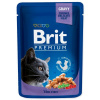Brit Premium Cat Cod Fish 100 g Brit Premium Cat Cod Fish 100 g