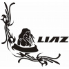 samolepka LIAZ 621, Vnútorné / na okno, 30 x 30 cm - pár (2 kusy) samolepka LIAZ 621, Vnútorné / na okno, 30 x 30 cm - pár (2 kusy)