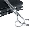Diamond Scissors Jednostranné efilačné nožnice 6,5 Diamond Scissors Jednostranné efilačné nožnice 6,5