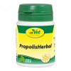 cdVet Propolis Herbal 45 g (čisto prírodné doplnkové krmivo, podporuje imunitný systém a vitalitu) cdVet Propolis Herbal 45 g (čisto prírodné doplnkové krmivo, podporuje imunitný systém a vitalitu)