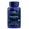Life Extension Carnosine, karnozín, 500 mg, 60 rastlinných kapsúl Vitamín B1 a antioxidant na podporu regeneracie svalov / Expirácia 11/2023 Life Extension Carnosine, karnozín, 500 mg, 60 rastlinných kapsúl Vitamín B1 a antioxidant na podporu regeneracie svalov / Expirácia 11/2023