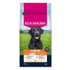 Eukanuba Dog Junior Large bohaté na čerstvé kuracie mäso 15kg Eukanuba Dog Junior Large bohaté na čerstvé kuracie mäso 15kg
