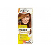 Palette 2388495 Color Shampoo 7-554 (317) Orieškovo plavý 50 ml Palette 2388495 Color Shampoo 7-554 (317) Orieškovo plavý 50 ml