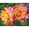 Vymalujsisam.sk Maľovanie podľa čísiel - Ruže, kvety krásy Veľkosť: 40x50cm, Rám: Bez rámu, iba zrolované plátno Vymalujsisam.sk Maľovanie podľa čísiel - Ruže, kvety krásy Veľkosť: 40x50cm, Rám: Bez rámu, iba zrolované plátno