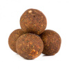 MIKBAITS Fanatica boilie Koi 24mm, 900g MIKBAITS Fanatica boilie Koi 24mm, 900g