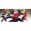 Panoramatická fototapeta - PA4010 - Spiderman 250cm x 104cm - Vliesová fototapeta Panoramatická fototapeta - PA4010 - Spiderman 250cm x 104cm - Vliesová fototapeta