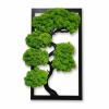 COOL Design Personalizovaný obraz s bonsajom z machu – minimalistická dekorácia na mieru Farba: 75x44 COOL Design Personalizovaný obraz s bonsajom z machu – minimalistická dekorácia na mieru Farba: 75x44