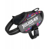 Julius-K9 IDC Powerharness Mixed Hearts - postroj najvyššej kvality, postroj pre psa s farebnými srdiečkami - Baby 2 Julius-K9 IDC Powerharness Mixed Hearts - postroj najvyššej kvality, postroj pre psa s farebnými srdiečkami - Baby 2