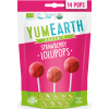 YumEarth Ovocné lízanky s príchuťou jahody BIO 87 g YumEarth Ovocné lízanky s príchuťou jahody BIO 87 g