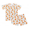 Bellatex Pyžamo krátký rukáv, krátké kalhoty Lištička Oranžová,Bílá rozměr 110 Bellatex Pyžamo krátký rukáv, krátké kalhoty Lištička Oranžová,Bílá rozměr 110