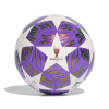 Futbalová lopta ADIDAS-UCL TRN F PANTON/WHITE Fialová 3 2026 Futbalová lopta ADIDAS-UCL TRN F PANTON/WHITE Fialová 3 2026