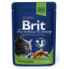 Brit Premium Cat Chicken Slices for Sterilised kapsičky 24 x 100 g Brit Premium Cat Chicken Slices for Sterilised kapsičky 24 x 100 g