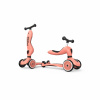 DETSKÁ KOLOBEŽKA 2V1 SCOOT AND RIDE - HIGHWAYKICK 1 - PEACH DETSKÁ KOLOBEŽKA 2V1 SCOOT AND RIDE - HIGHWAYKICK 1 - PEACH