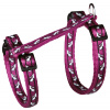 Postroj s vodidlom pre mačky nastaviteľný Trixie 27-46cm * 10mm * 1,2m Postroj s vodidlom pre mačky nastaviteľný Trixie 27-46cm * 10mm * 1,2m