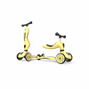 DETSKÁ KOLOBEŽKA 2V1 SCOOT AND RIDE - HIGHWAYKICK 1 - LEMON DETSKÁ KOLOBEŽKA 2V1 SCOOT AND RIDE - HIGHWAYKICK 1 - LEMON