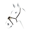 Nánosník mexický Equestro Farba: Čierna, Veľkosť: full Nánosník mexický Equestro Farba: Čierna, Veľkosť: full
