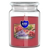 Bispol Rasberrry white levader Maxi 500 g Bispol Rasberrry white levader Maxi 500 g