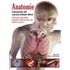Anatomie - Thomas McCracken Anatomie - Thomas McCracken
