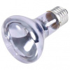 Trixie Neodymium Basking-Spot-Lamp 75 W Trixie Neodymium Basking-Spot-Lamp 75 W