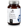 Šalvia Červenokorenná Kapsule 90ks (Salvia miltiorrhiza) Šalvia Červenokorenná Kapsule 90ks (Salvia miltiorrhiza)