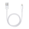 Apple - Kabel Lightning - Lightning (M) do USB (M) - 50 cm - pro Apple iPad/iPhone/iPod (Lightning) ME291ZM/A Apple - Kabel Lightning - Lightning (M) do USB (M) - 50 cm - pro Apple iPad/iPhone/iPod (Lightning) ME291ZM/A