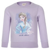 Frozen - licencia Dievčenská mikina - Frozen VH1096, fialková Farba: Fialková, Veľkosť: 110 Frozen - licencia Dievčenská mikina - Frozen VH1096, fialková Farba: Fialková, Veľkosť: 110