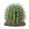HOBBY Dekorácia Kaktus Sonora M, 15x15x13 cm HOBBY Dekorácia Kaktus Sonora M, 15x15x13 cm