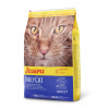 Josera Cat DailyCat GF 10 kg Josera Cat DailyCat GF 10 kg