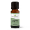 Plant Therapy Eucalyptus Globulus esenciálny olej 10 ml Plant Therapy Eucalyptus Globulus esenciálny olej 10 ml