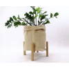 Stojan na kvety - Moderný záhon na nohách 30/20 cm, prírodný dub (Stojan na kvety - Moderný záhon na nohách 30/20 cm, prírodný dub) Stojan na kvety - Moderný záhon na nohách 30/20 cm, prírodný dub (Stojan na kvety - Moderný záhon na nohách 30/20 cm, prírodný dub)