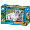 PRIME 3D puzzle Biely tiger 63 ks PRIME 3D puzzle Biely tiger 63 ks