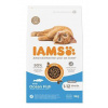 Iams Cat Kitten Ocean Fish 3kg Iams Cat Kitten Ocean Fish 3kg