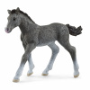 Schleich 13944 Hříbě trakénské Schleich 13944 Hříbě trakénské