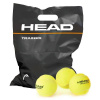 Head Tenisové loptičky TRAINER 72ks Head Tenisové loptičky TRAINER 72ks