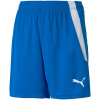 Trenky Puma teamLIGA Shorts Jr 704931 02 Trenky Puma teamLIGA Shorts Jr 704931 02