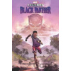 Marvel Black Panther Legends Marvel Black Panther Legends