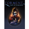 Torment: Tides of Numenera (PC) DIGITAL - Steam PC Torment: Tides of Numenera (PC) DIGITAL - Steam PC
