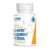 Alavis kĺbová výživa 90 tbl Alavis kĺbová výživa 90 tbl