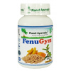 Planet Ayurveda FENUGYM 60 kapsúl – ovplyvňuje hladinu cukru v krvi Planet Ayurveda FENUGYM 60 kapsúl – ovplyvňuje hladinu cukru v krvi