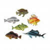 Ryba tropická 24 – 36 cm Ryba tropická 24 – 36 cm