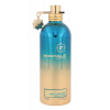 Montale Paris Aoud Lagoon, Parfumovaná voda 100ml unisex Montale Paris Aoud Lagoon, Parfumovaná voda 100ml unisex