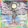 3LP Oliver Koletzki: Trip To Sanity 3LP Oliver Koletzki: Trip To Sanity