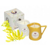 Masážna sviečka Polheaven Ylang 110 ml Masážna sviečka Polheaven Ylang 110 ml