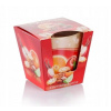 Bartek Candles Christmas Time Cinnamon & Orange 115 g Bartek Candles Christmas Time Cinnamon & Orange 115 g
