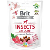 Brit Care Dog Crunchy Cracker. Insects with Lamb enriched with Raspberries 200 g Brit Care Dog Crunchy Cracker. Insects with Lamb enriched with Raspberries 200 g