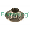 Borsehung Súprava ložísk kolesa B18957 Borsehung Súprava ložísk kolesa B18957